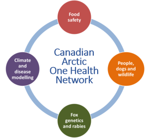 OneHealth Network